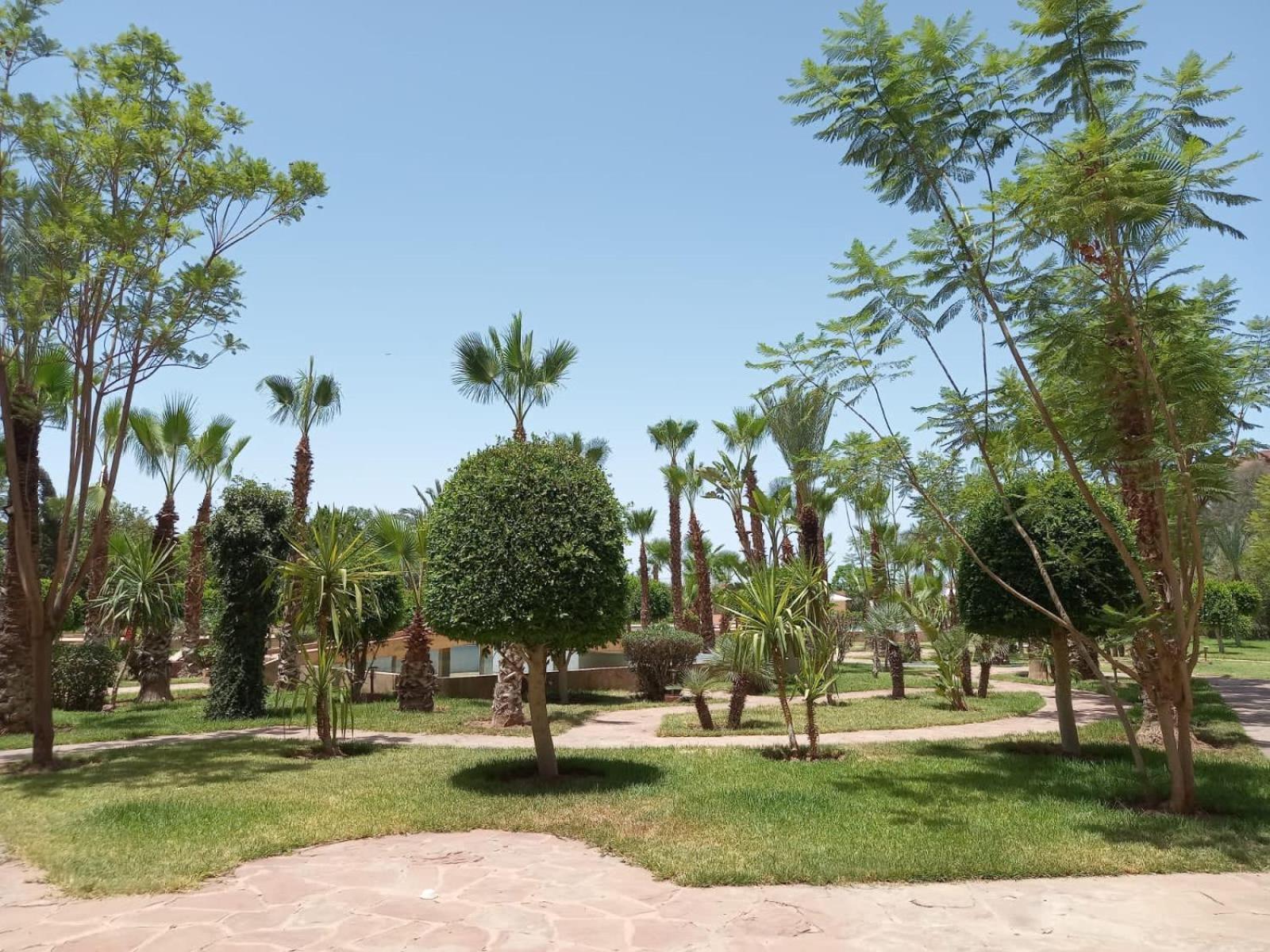 Appartement Marrakech M Avenue Terrasse Jardin à Marrakesh Extérieur photo